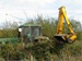 hedgecutting