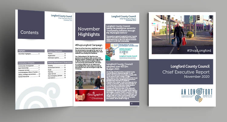 Chief Executive Report November 2020