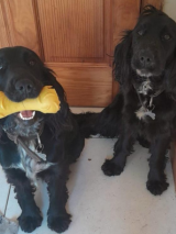 Luna-and-Lara-5.1.2026