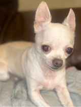 Sandy-22.1.2026 Sandy-22.1.2026