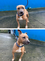 Staffe-9.12.2025-(1)