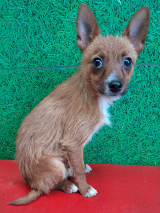 Unknown-8.4.2026 Unknown-8.4.2026