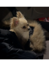 chihu-2-13.2.26 chihu-2-13.2.26