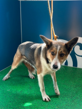 Izzy-24.11.2025 Izzy-24.11.2025