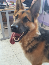 Max Max