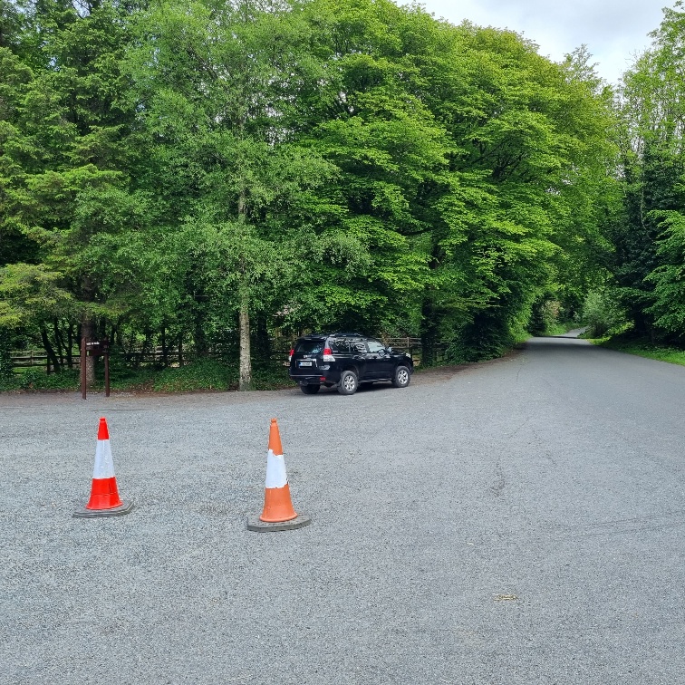 Derrycassin-3