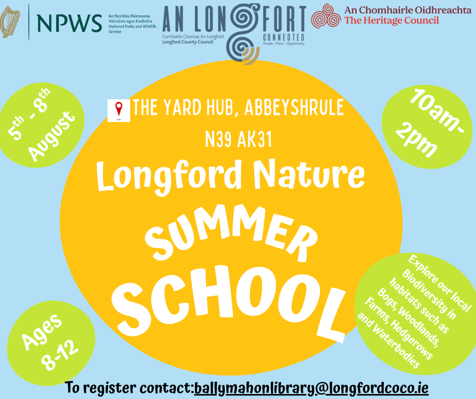 Summer-school-poster Summer-school-poster