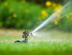 Water Conservation banner image
